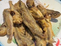 -春水锅贴·传统鲁菜(大明湖店)