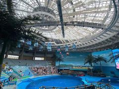 -海合安成都极地海洋公园