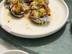 超大又多汁的生蚝-79号渔船海鲜饭店(宝安店)