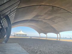 -碧海金沙