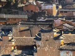 -杨家堂村