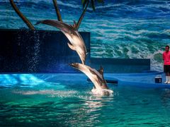 -多彩贵州城极地海洋世界