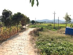 -龙川佗城