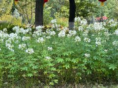 -玄武湖景区-情侣园游乐场