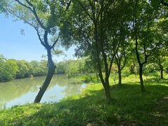 -西溪国家湿地公园