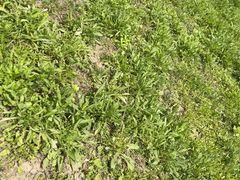 -梁鸿国家湿地公园