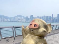 -星光大道