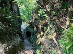 -树山生态村