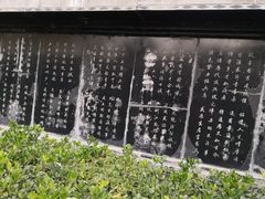 -东方巨龟苑景区