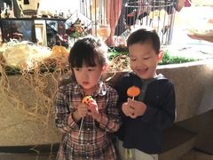 -上海东方佘山翰悦阁酒店·Vie全日制餐厅