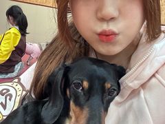 -和它·交个朋友·狗咖猫咖(爱琴海店)