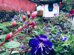 -雁荡山三折瀑景区