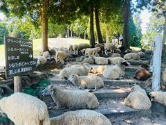 -神户市立六甲山牧场
