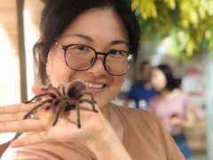 -藦茜花园宠物主题亲子互动体验馆(国顺东路店)