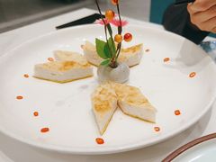 -丁老爷子苏香圆