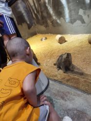 -酷嗒动物文化乐园(cutezoo西溪乐天城店)