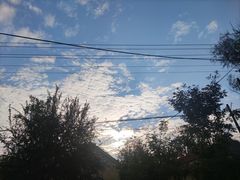 -阿田大虾(招远店)