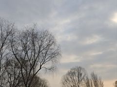 -郑州植物园