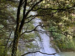 -鹿院坪生态旅游景区
