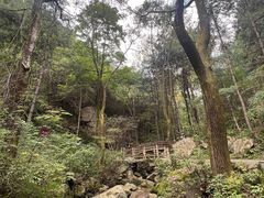 -王顺山国家森林公园