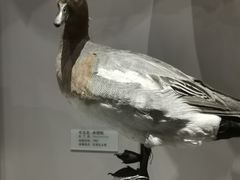 -天津自然博物馆