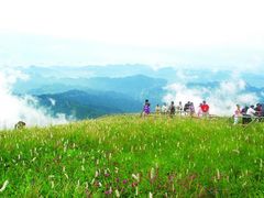 -野三坡百草畔景区