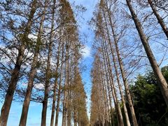 -嘉北郊野公园