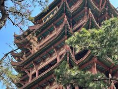 -黄鹤楼公园(黄鹤楼)