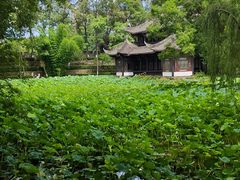 -老桂湖公园-杨升庵博物馆