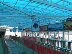 -武汉关码头(轮渡站)