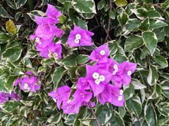 -华南国家植物园-售票处