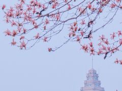 -中央公园(苏州工业园区)