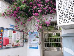 -鲍师傅糕点(观前街店)