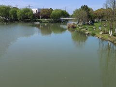 -九里河湿地公园