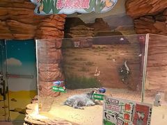 -正佳雨林生态植物园