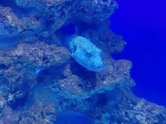 -石家庄海洋公园