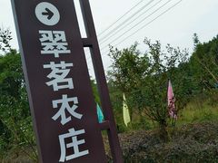 -翠茗农庄土菜馆(天目湖店)