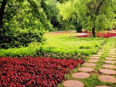 -黑龙江省森林植物园