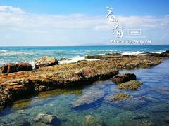 -盐洲岛
