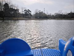 -上海长兴岛郊野公园