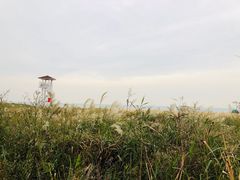 -青岛银沙滩