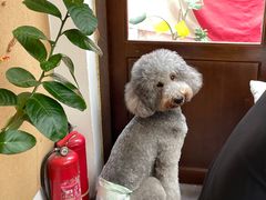 -沏点Trattoria意大利餐厅(新街口店)