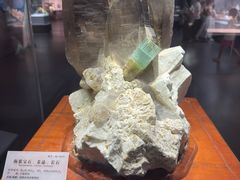 -湖南省地质博物馆