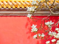 -北京市劳动人民文化宫(太庙)
