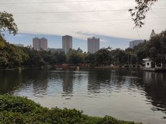 -晓港公园
