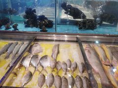 -王庄阿咪海鲜大排档(象园店)
