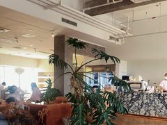 -COFFEEOLOGY咖啡学(天银店)