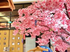 -大江户·温泉洗浴(浑南店)