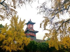 -四川大学(华西校区)