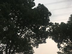 -星巴克(G15苏通大桥服务区西区)